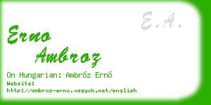 erno ambroz business card