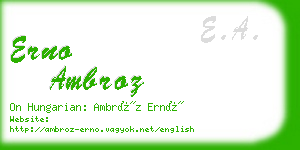 erno ambroz business card